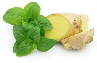 Ginger e menta no ingredientes
