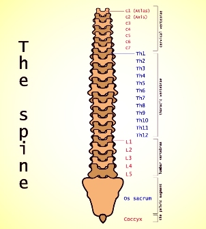osteocondrose lumbar
